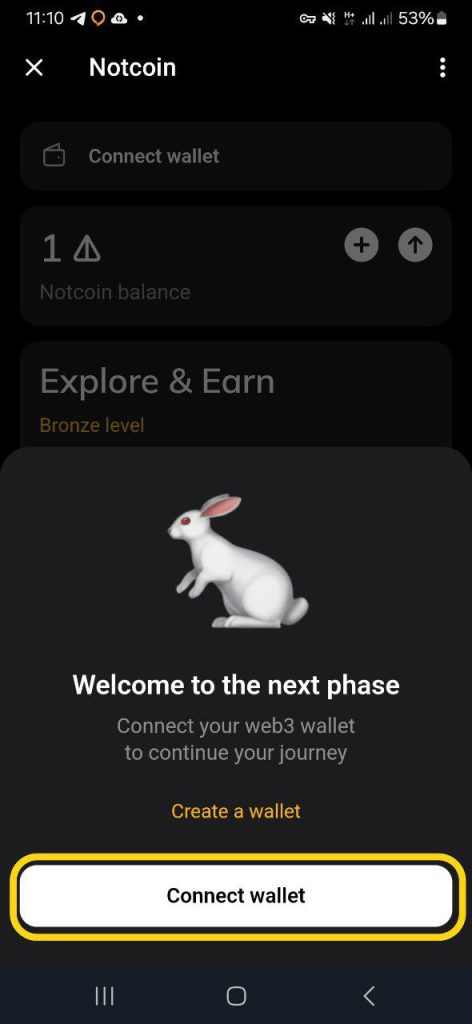 اتصال ولت نات کوین