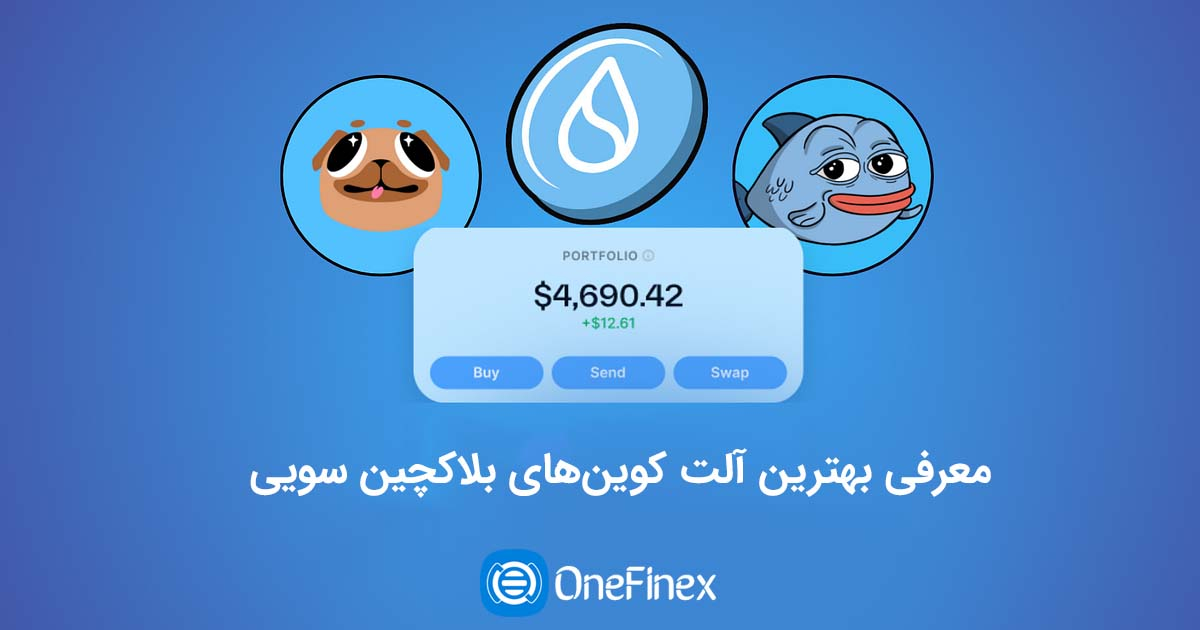 بهترین میم کوین های شبکه سویی معرفی شد.