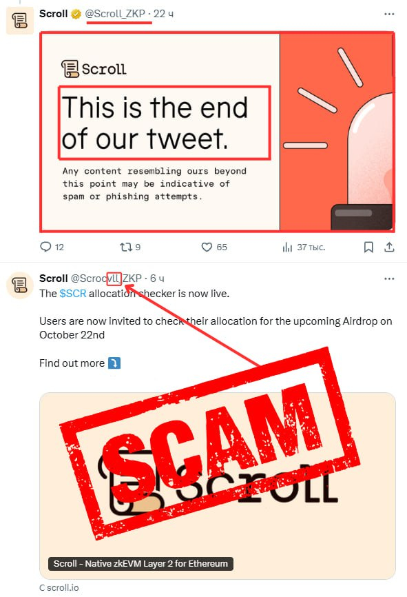 اسکم دز ارز دیجیتال