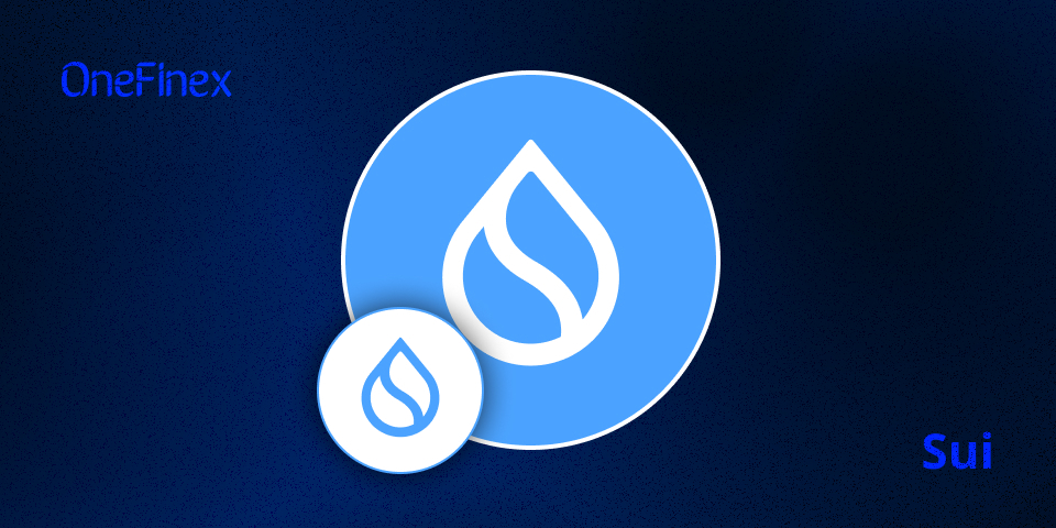 ارز دیجیتال سویی Sui: تحلیل بلاکچین، توکنومیکس و مزیت‌های رقابتی