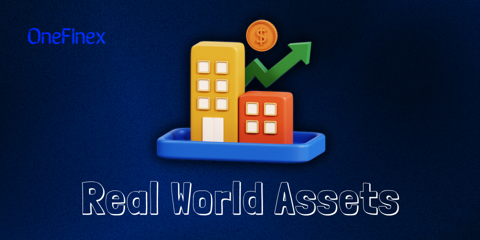 راهنمای سرمایه‌گذاری در دارایی‌های دنیای واقعی (RWA)