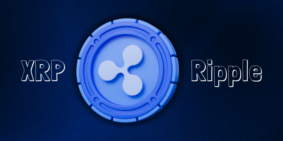 تحلیل جامع ریپل: فرصت‌ها، ریسک‌ها و آینده XRP