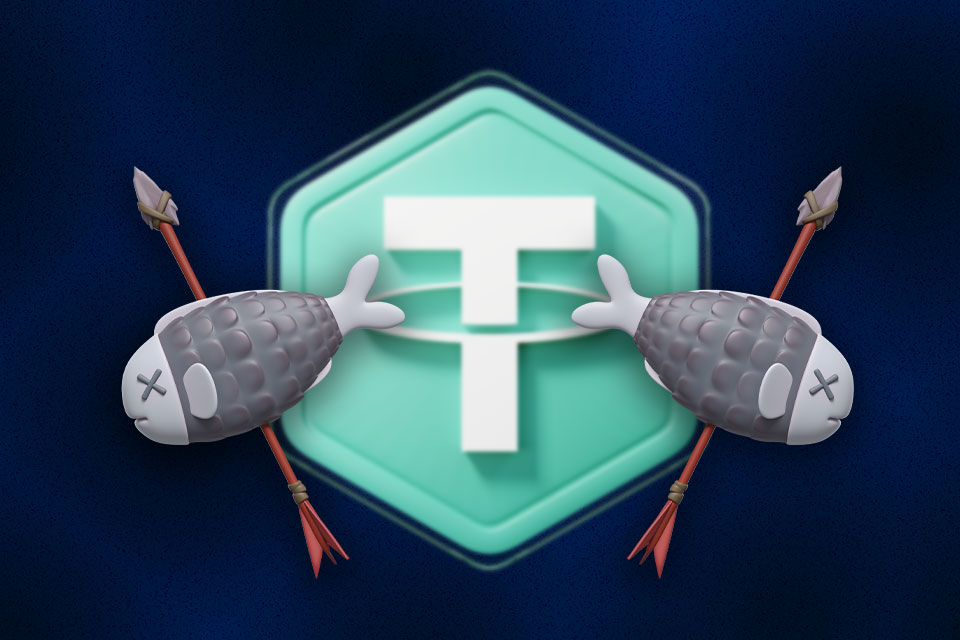 کلاهبرداری های رایج با تتر، از فیشینگ تا طرح های پانزی