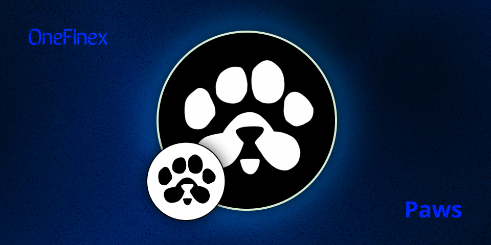 معرفی ارز دیجیتال پاز PAWS: فرصتها و ریسکهای احتمالی سرمایهگذاری